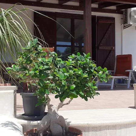 بيت للعطل Villa Stella Marina سبيكتشيولا